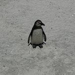 Photo taken by Michael Z