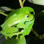 Photo taken by Robin W