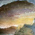 Photo taken by Linnaea M