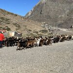 Photo taken by John L