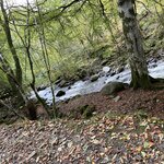 Photo taken by Kathryn S