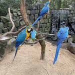 Photo taken by Graciela P