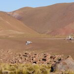 Photo taken by Jananee J