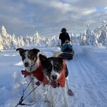 Photo taken by Ellyn V