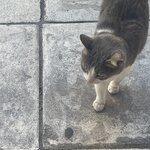 Photo taken by Angela R