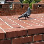 Photo taken by Sylvia S