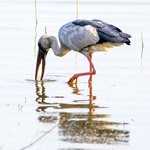 Photo taken by Graham D