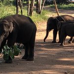 Photo taken by Garth R