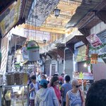 Photo taken by Kristy T