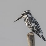 Photo taken by Graham D