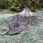 Photo taken by Anna L