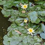 Photo taken by Beth M