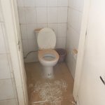 Photo taken by Nicole C