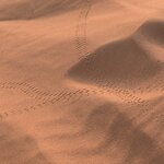 Photo taken by Pam L