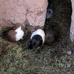 Photo taken by Kent P