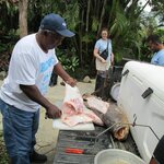 Photo taken by John N