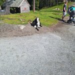 Photo taken by Mary S