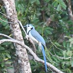 Photo taken by Graeme W