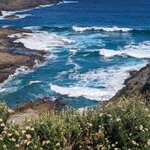 Photo taken by David G