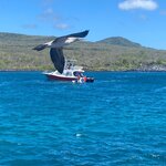 Photo taken by Hale S