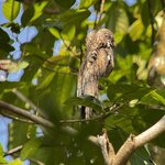 Photo taken by Martin L