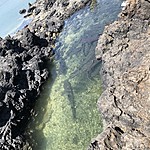 Photo taken by Meggan M