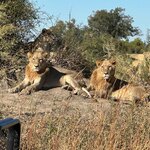 Photo taken by Tom B