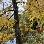 Photo taken by Rhoda M