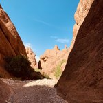 Photo taken by Leah H