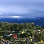 Photo taken by Joanna K