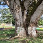 Photo taken by Nancy L