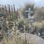 Photo taken by Priya R