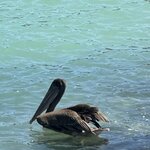 Photo taken by Gary W