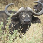 Photo taken by Kristin M