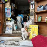 Photo taken by Kris C