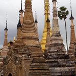 Photo taken by Michelle R