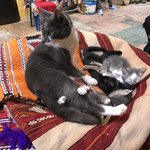 Photo taken by Rose A