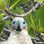 Photo taken by Mark A