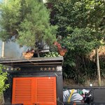 Photo taken by Nicole G