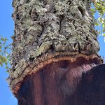 Photo taken by joyce h