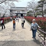 Photo taken by Norma M