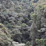 Photo taken by William R