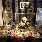 Photo taken by Brenna M