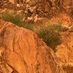 Photo taken by Maryann S