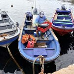 Photo taken by William B