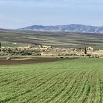 Photo taken by Leslie G