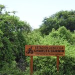 Photo taken by Joseph P