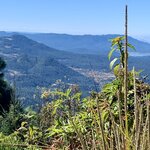 Photo taken by Barbara V