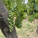 Photo taken by Manon G