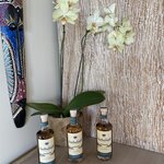 Photo taken by Donna G